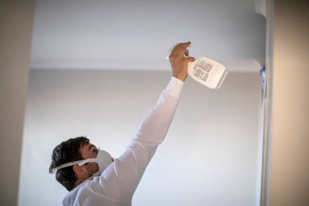 Rose Hills, CA Mold Removal Pros