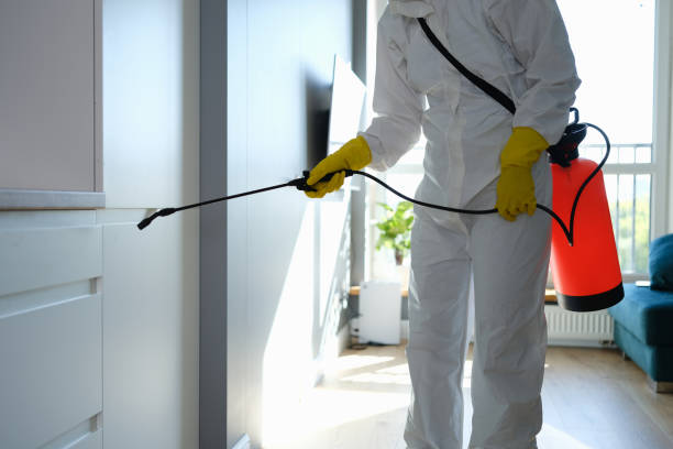 Best Office Mold Removal Services  in Rose Hills, CA