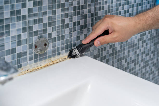 Mold Removal Process in Rose Hills, CA
