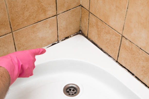 Best Crawl Space Mold Removal  in Rose Hills, CA